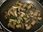 Zeytinyağlı Mantar