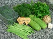 Yeşil Detoks Çorbası