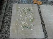 Baklavalık Yufkadan Tava Böreği