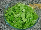 Kıvırcık Marul Salatası