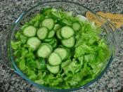 Kıvırcık Marul Salatası