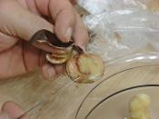 Ev Yapımı Kestane Şekeri