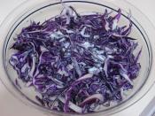 Sirkeli Kırmızı Lahana Salatası