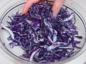 Sirkeli Kırmızı Lahana Salatası