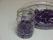 Sirkeli Kırmızı Lahana Salatası