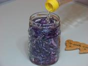 Sirkeli Kırmızı Lahana Salatası