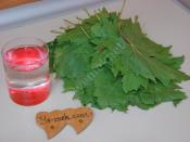 Asma Yaprağı Buzlukta Nasıl Saklanır