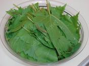 Asma Yaprağı Buzlukta Nasıl Saklanır