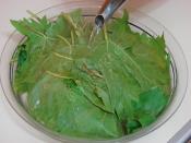 Asma Yaprağı Buzlukta Nasıl Saklanır