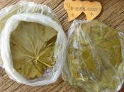 Asma Yaprağı Buzlukta Nasıl Saklanır