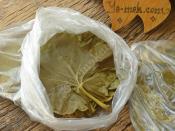 Asma Yaprağı Buzlukta Nasıl Saklanır