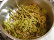 Çitlembik Salatası