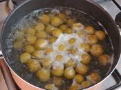 Yeşil Erik Hoşafı