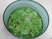 Yoğurtlu Buğdaylı Semizotu Salatası