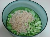 Yoğurtlu Buğdaylı Semizotu Salatası