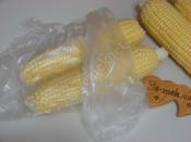 Buzlukta Süt Mısırı Saklama