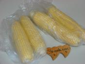 Buzlukta Süt Mısırı Saklama