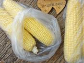 Buzlukta Süt Mısırı Saklama