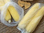 Buzlukta Süt Mısırı Saklama