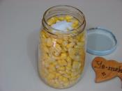 Ev yapımı Taze Mısır Konservesi