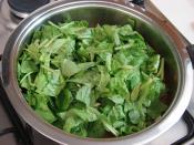 Pirinçli Pazı Yemeği