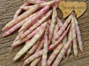 Taze Barbunya Derin Dondurucuda Nasıl Saklanır