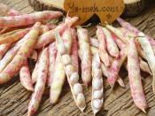 Taze Barbunya Derin Dondurucuda Nasıl Saklanır