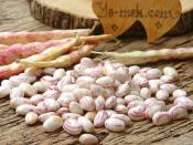 Taze Barbunya Derin Dondurucuda Nasıl Saklanır