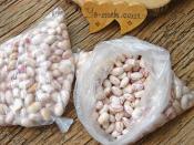 Taze Barbunya Derin Dondurucuda Nasıl Saklanır