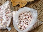 Taze Barbunya Derin Dondurucuda Nasıl Saklanır