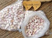 Taze Barbunya Derin Dondurucuda Nasıl Saklanır