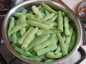 Taze Fasulye Turşusu