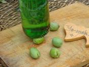 Ev Yapımı Kırma Taze Yeşil Zeytin