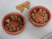 Fırında Kıtır Ekmekli Yumurta