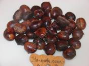 Fırında Kestane Kebap