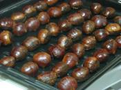 Fırında Kestane Kebap