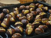 Fırında Kestane Kebap