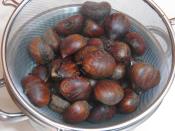 Suda Kestane Haşlama