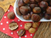 Suda Kestane Haşlama