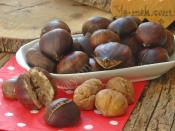 Suda Kestane Haşlama