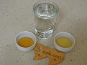 Zayıflatan Sirkeli Ballı Kür