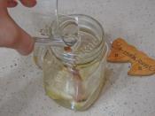 Kilo Vermeye Yardımcı Detoks Suyu