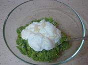 Yoğurtlu Brokoli Ezmesi