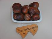 Kestane Nasıl Saklanır