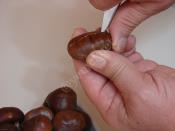 Kestane Nasıl Saklanır