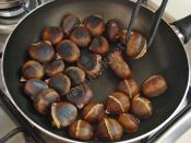 Kestane Nasıl Saklanır