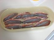 Ançüez