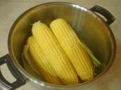 Süt İle Mısır Haşlama