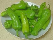 Buzlukta Kızartmalık Biber Saklama Yöntemi