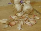 Buzlukta Sarımsak Saklama Yöntemi